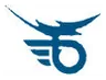 Thunderbolt logo