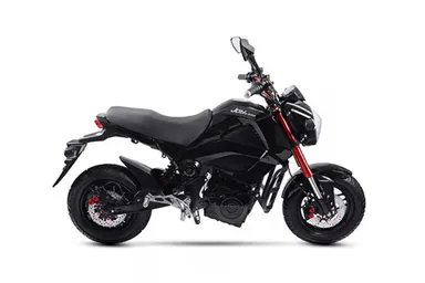 Joy e-bike Monster