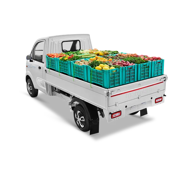 Mahindra Zeo thumbnail 15